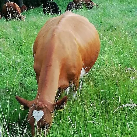 Fuer Naturfreunde *