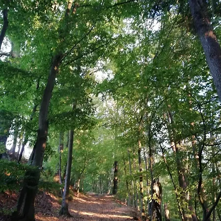 Apartman Fuer Naturfreunde *