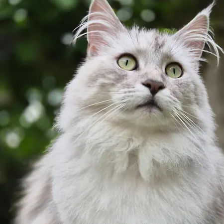 Fuer Naturfreunde * Rathmannsdorf