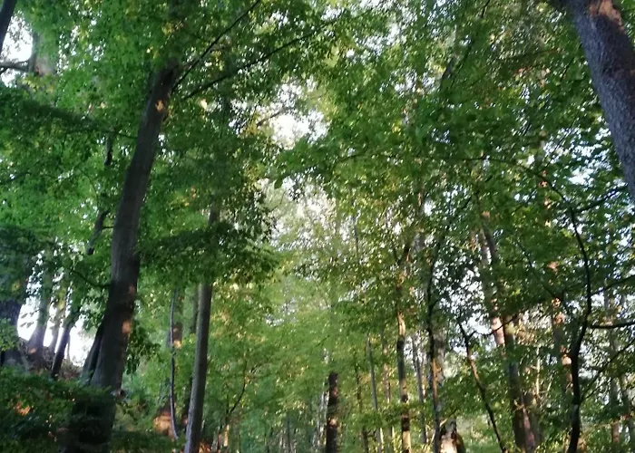 Apartamento Fuer Naturfreunde *