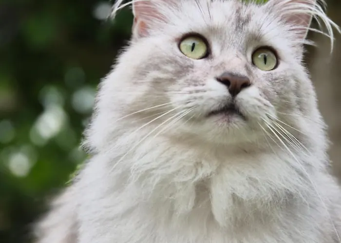 Fuer Naturfreunde * Rathmannsdorf