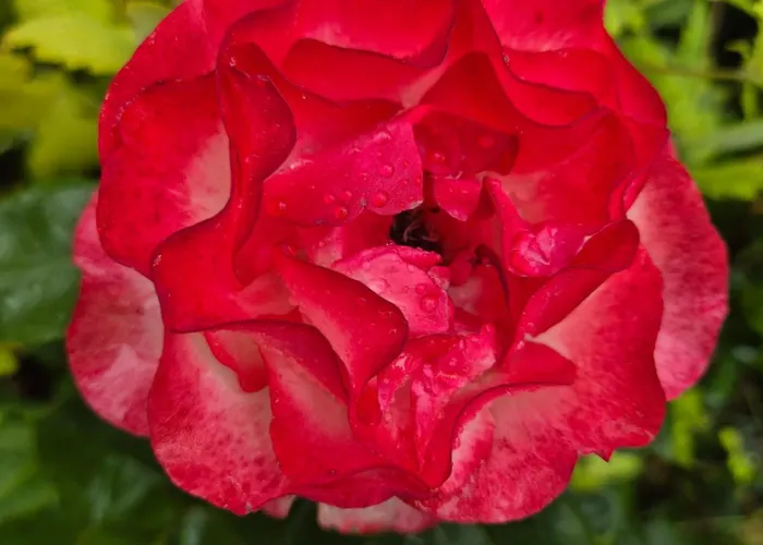 Fuer Naturfreunde * Rathmannsdorf