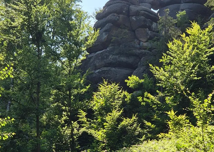 Fuer Naturfreunde * Rathmannsdorf